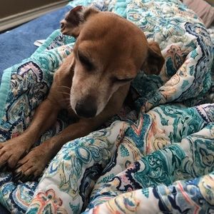 Meet your Posher, Wendy